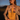 Julieta Yellow