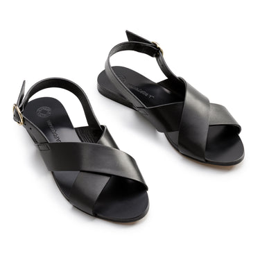 Emilia Negro