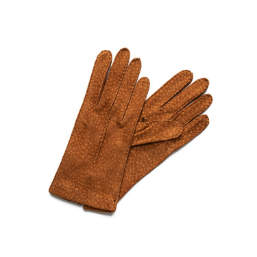 カピンチョソルグローブ