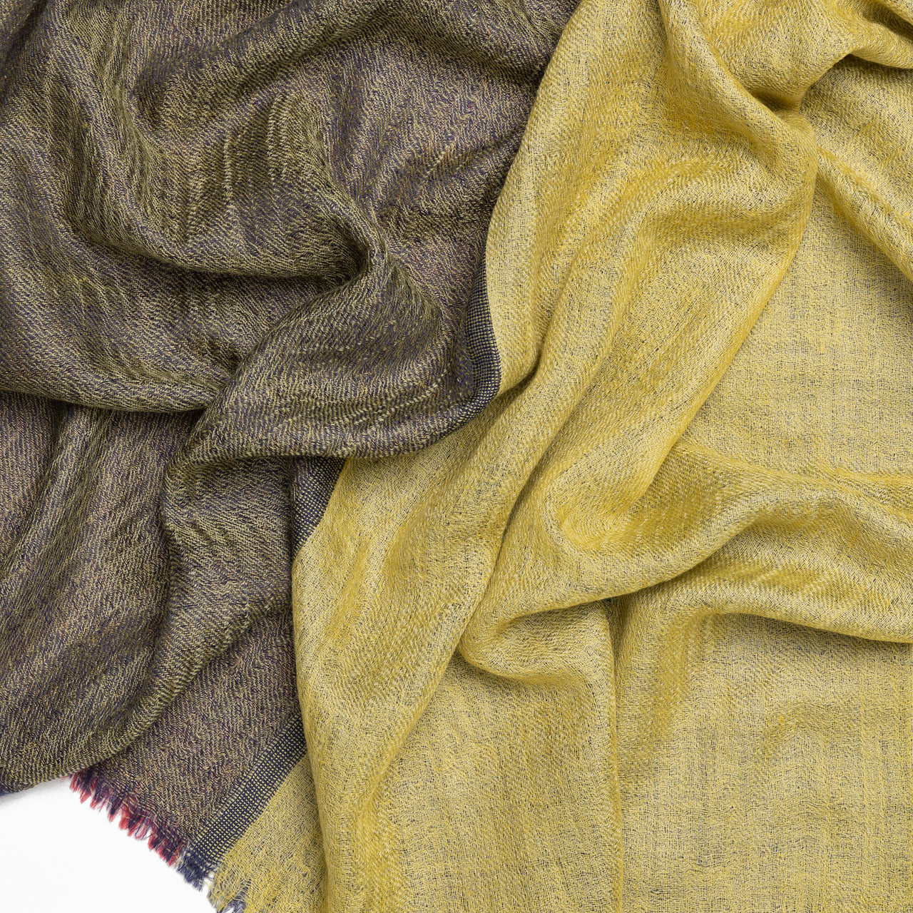 Yellow Tricolor Pashmina